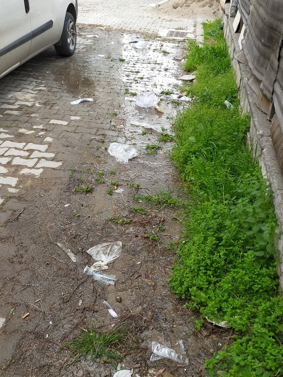 Veratlm's tweet photo. @izmirhim @izsugm merhaba yoldan geçerken görüyorum dünde gördüm hala mudahale edilmemiş yada bildirilmemis ilgilenir misiniz ? Bahçenin yan tarafındaki dar yol https://t.co/4LZJdEolBS