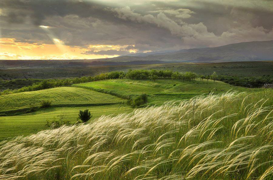 MirzayevAyaz's tweet photo. #Azerbaijan🇦🇿marks #WindTuesday #YelÇərşənbəsi, the third Tuesday up to #Novruz. It is the #wind that awakens #nature from a #dream, buds burst on #trees, and all living things awaken and get a boost. This is a sign of the approaching of heat, #spring.
Happy #yelcərṣənbəsi 🙏