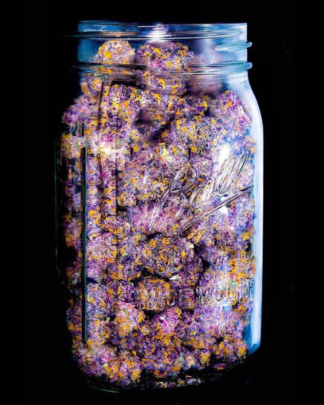 Herb Approach tweet media