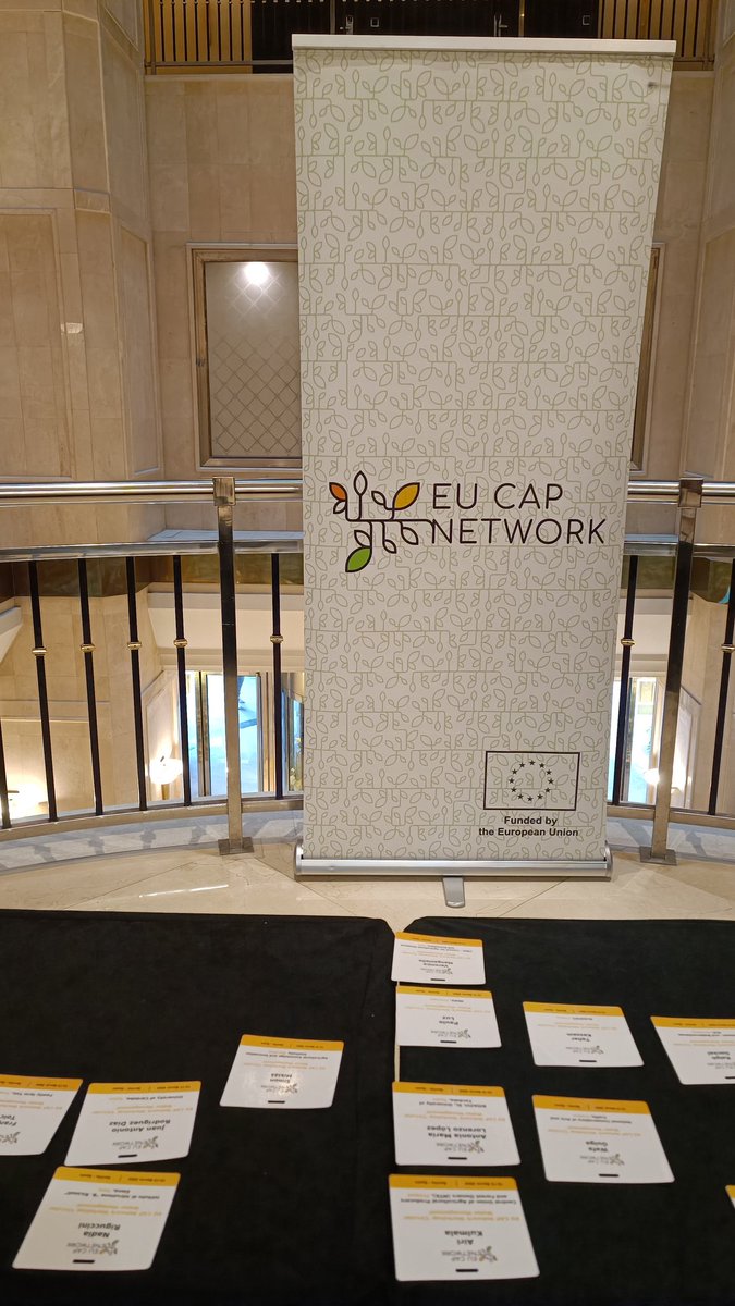 Macarena Ureña tweet media