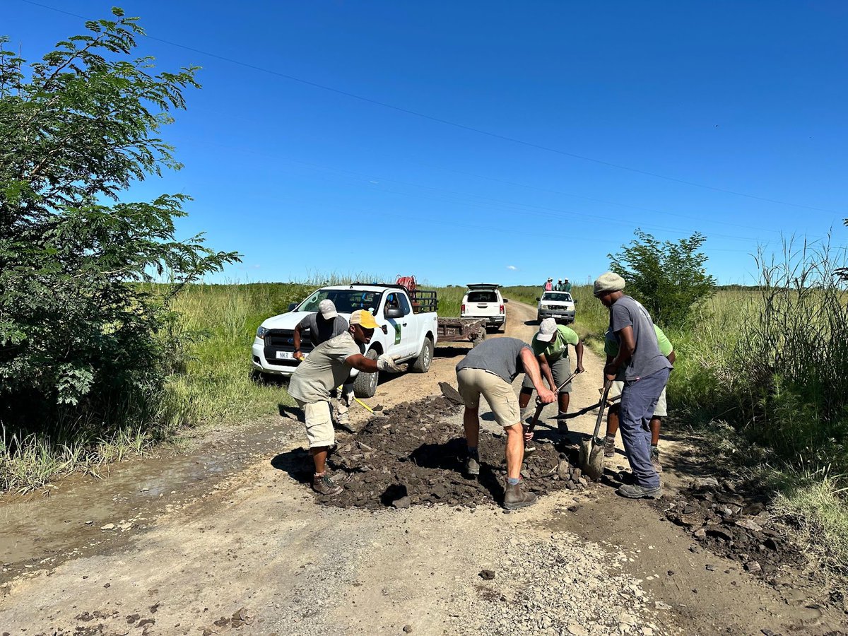 Working as a team is essential in any environment, after all the rains lately the main road leading to the Northern Gate at Nambiti has had tremendous damage. Working together we spent the afternoon filling holes, brush cutting and ensuring the road is in a drivable condition.