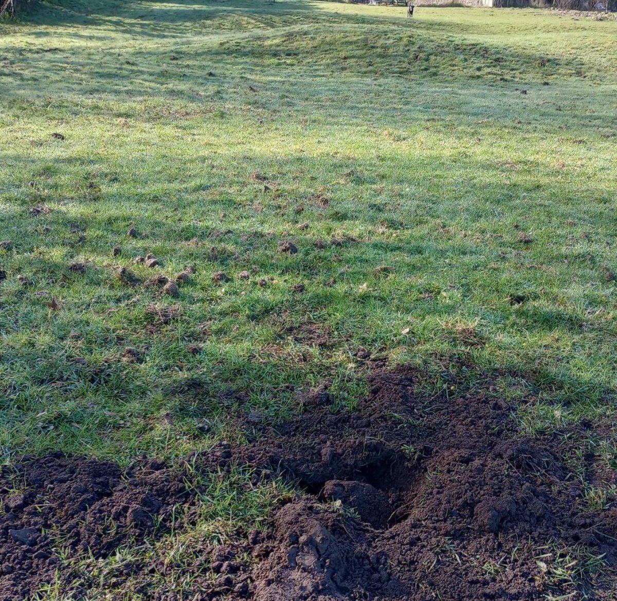 <a href="/RuralCrimeTeam/">Dorset Police Rural Crime Team</a> appeal for information relating to unlawful excavations at protected in Broadmayne near #Dorchester 
believed to have been committed by metal detectorists often referred to as #Nighthawks 

 Any information call 101 or <a href="/CrimestoppersUK/">Crimestoppers</a> 

dorsetecho.co.uk/news/24174907.…