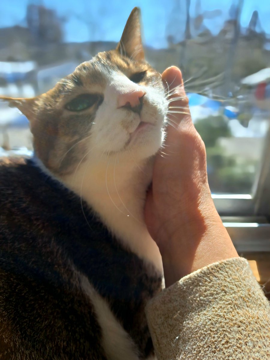 pinkmoon2525's tweet photo. あいらぶゆー
だいちゃん♡

だいちゃんが好きすぎてわが家ではだいちゃんを呼ぶ前に
あいらぶゆー
を付けて呼んでます
すいません、ただの親バカの独り言です( ´•ᴗ•ก) https://t.co/jXvQ1WT5dD