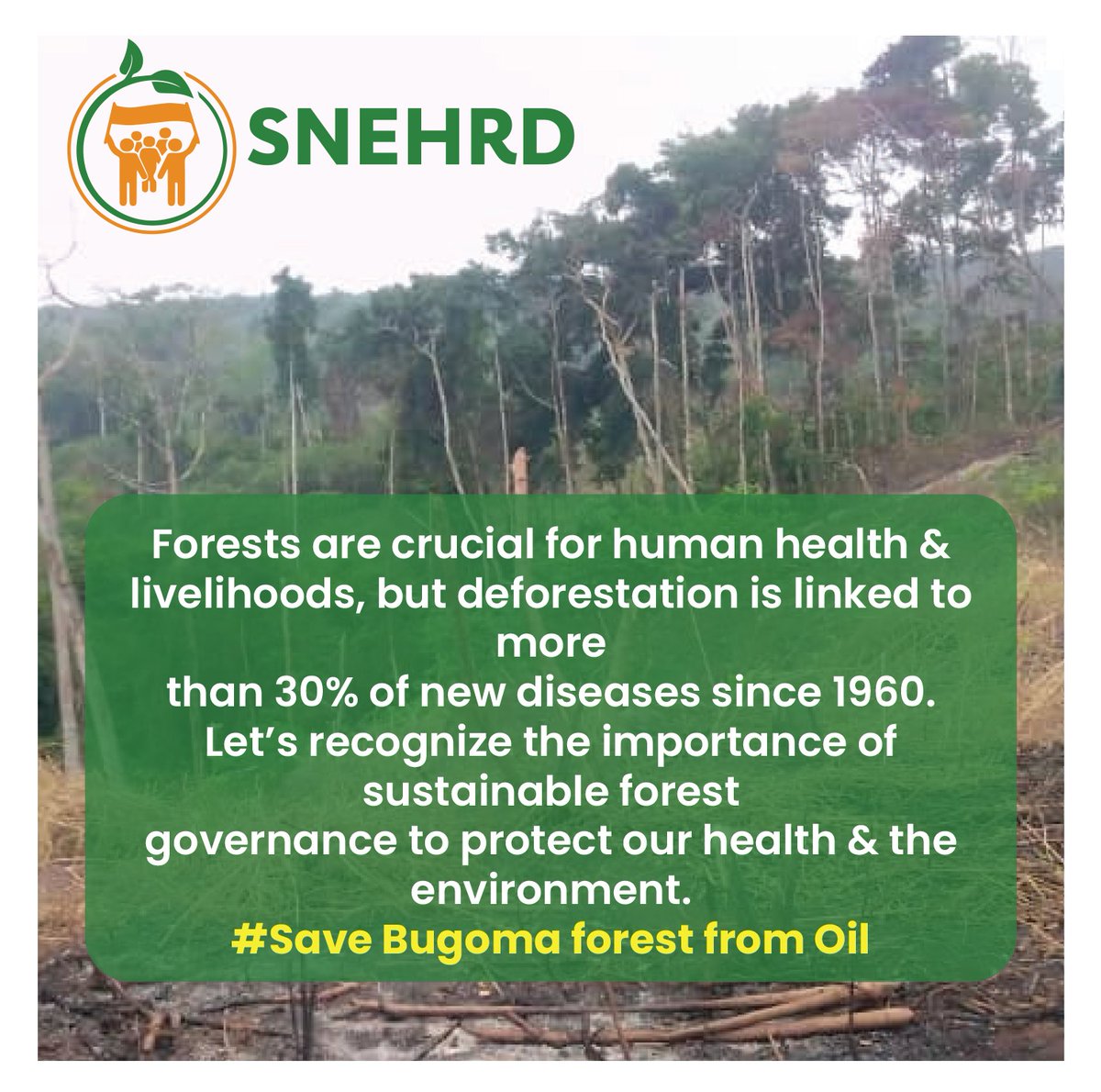 Forests are crucial for human health & livelihoods, but deforestation has been linked to more than 30% of new diseases since 1960. let's recognize the importance of sustainable forest governance to protect our health & the environment. 
# Save Bugoma forest from Oil and sugarcane