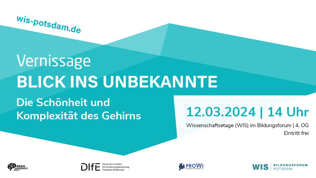 Heute, 14 Uhr eröffnen @RachelLippert, @yagoub_selma, David Baidoe-Ansah, Robert Chesters, Tsendmaa Tsengenbayar und Jiajie Zhu ihre Ausstellung in der WIS Potsdam. Bis zum 9.4. können sich Interessierte in den Bann der Neurowissenschaft ziehen lassen. ➡️bit.ly/3IrLgpi