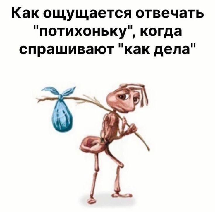 rossinurR's tweet photo. я только так и отвечаю... https://t.co/1WvkJGLYhH