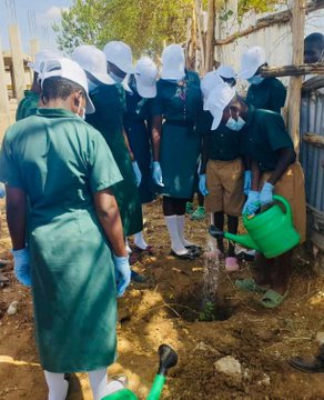 #MWEworks: The @min_waterUg Karamoja pre-#UWEWK24 regional activities kicked off with a clean up exercise and tree planting in Kotido Municipality. @GovUganda