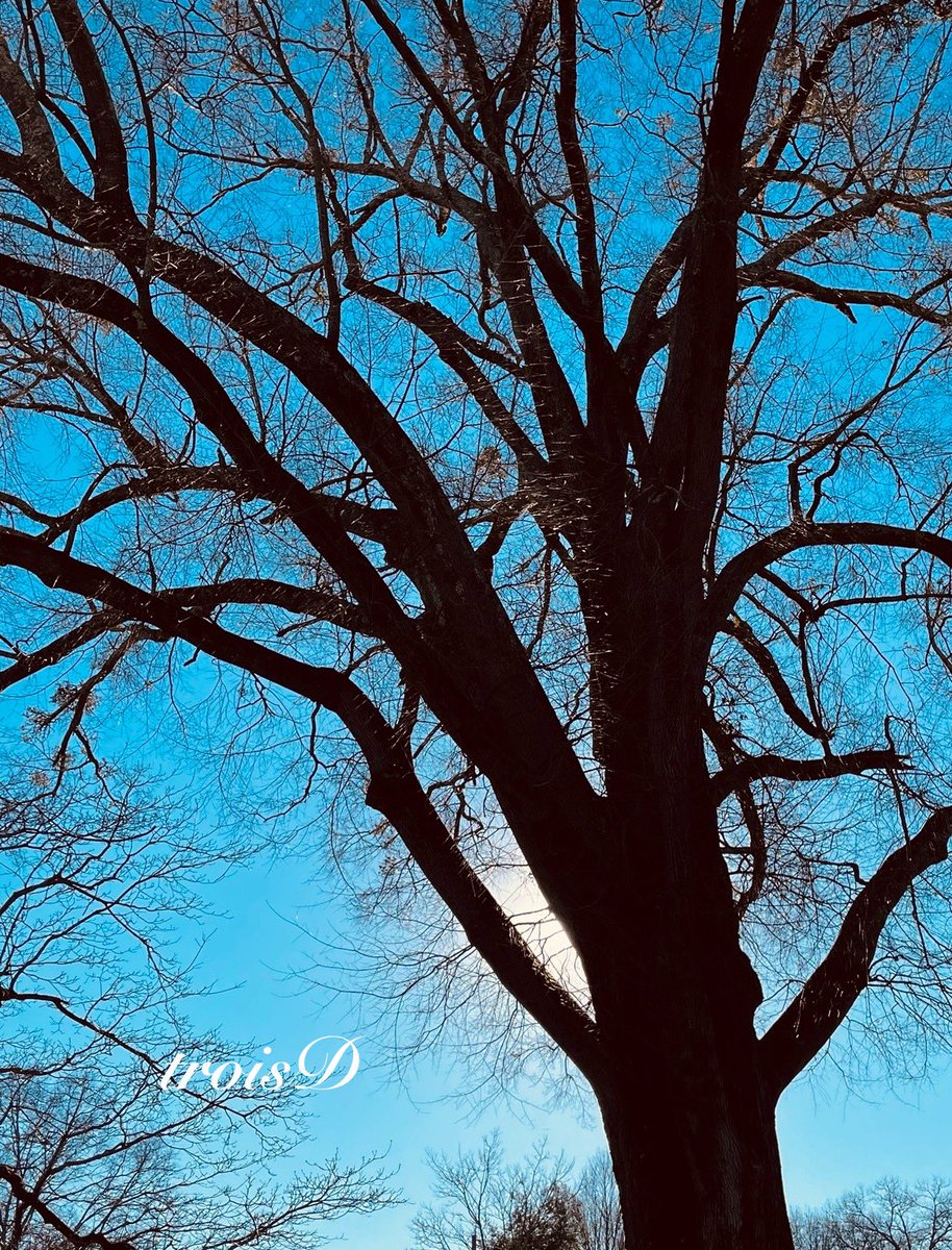 troisD💐 tweet media