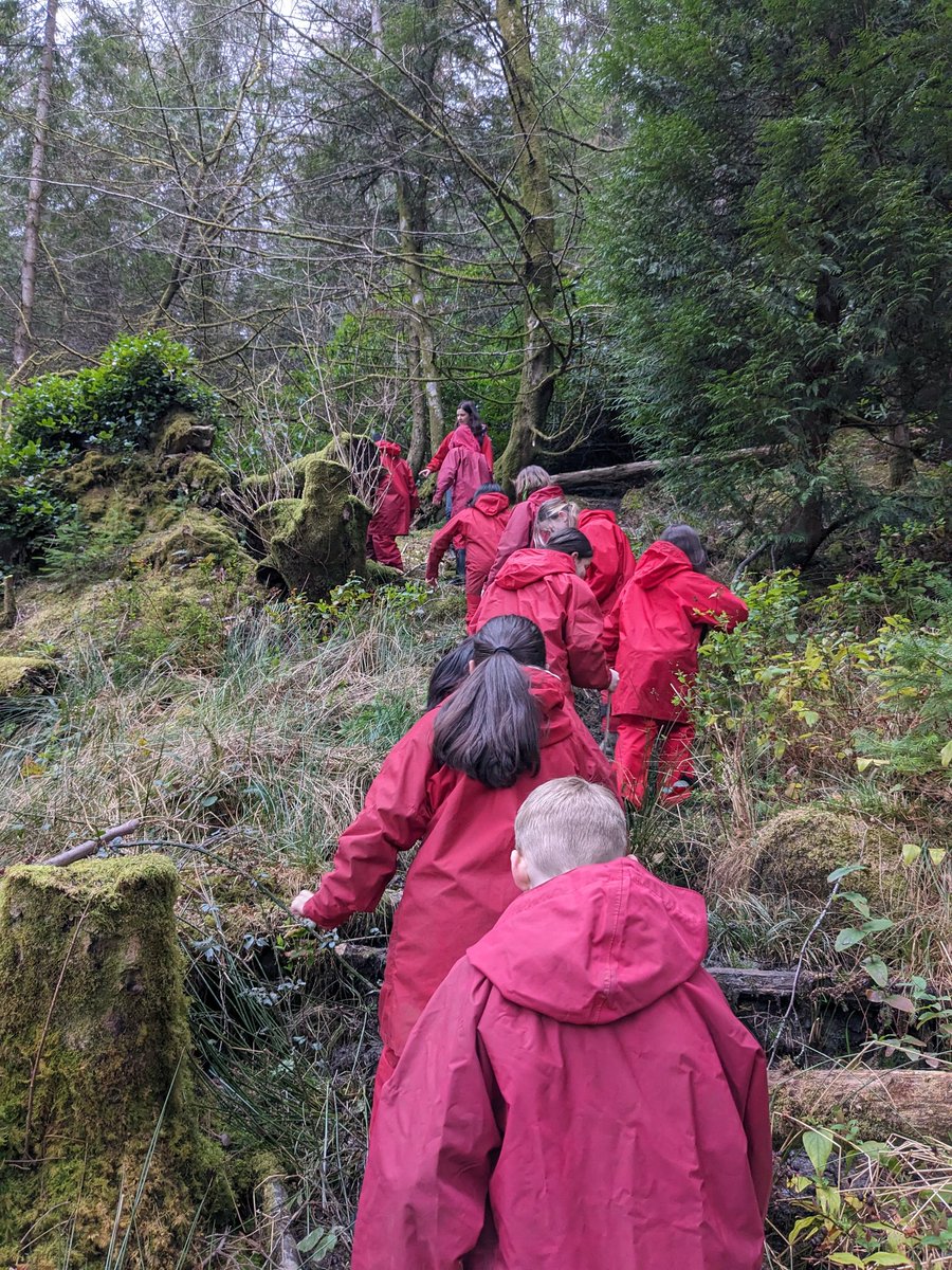 Mr_Scobbie's tweet photo. Some Day 1 highlights from our muddy exploration!

@Castleview_PS https://t.co/cgTxBeprdF