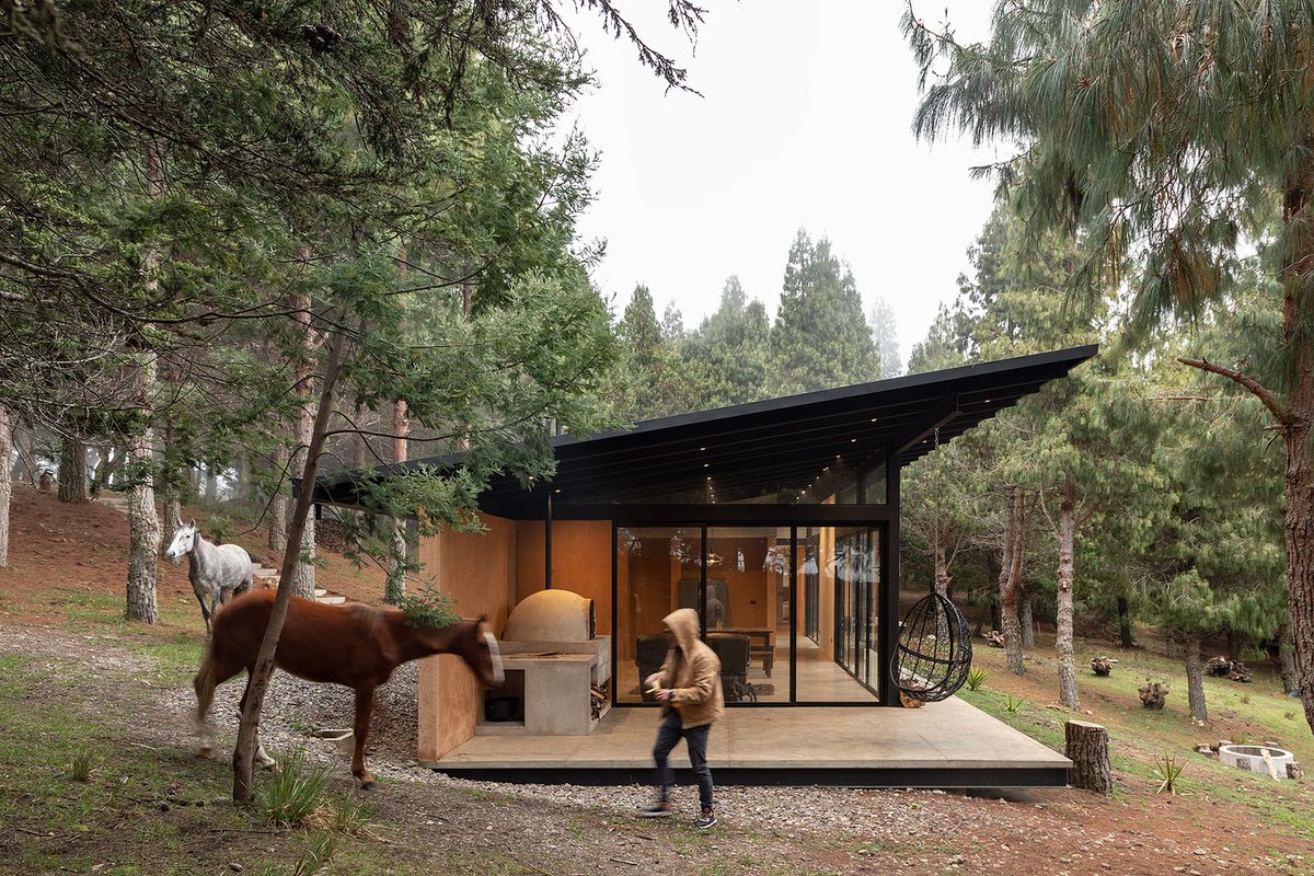 illustrarch's tweet photo. Casa del Bosque by Abel Guzman Larriva + Juan Vintimilla

#building #architects #design #architecture #illustrarch https://t.co/hHuB65fZQ8