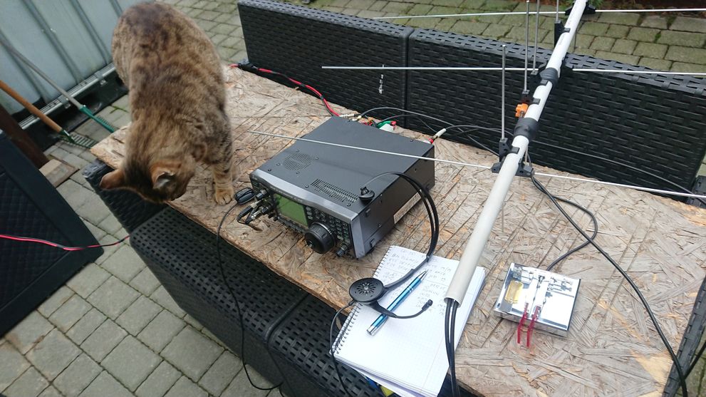 SP3RNZ's tweet photo. Nice RS-44🛰️ #CW session,
🆕DXCC Northern Ireland James MI0ILE @mi6gty,
Always QRV😉 LY4AA 🇱🇹 @ly4aa_radio
EA1CCM 🇪🇸 @ea1ccm Jose
ER1KW @Sergey753746311 Sergey
+ #SP6RLA and #4L1AX SSB.
CAT 🐱control Stef, wanted to cuddle right when
CQ-ed. Lack of third hand ! https://t.co/0I56EwHhY0
