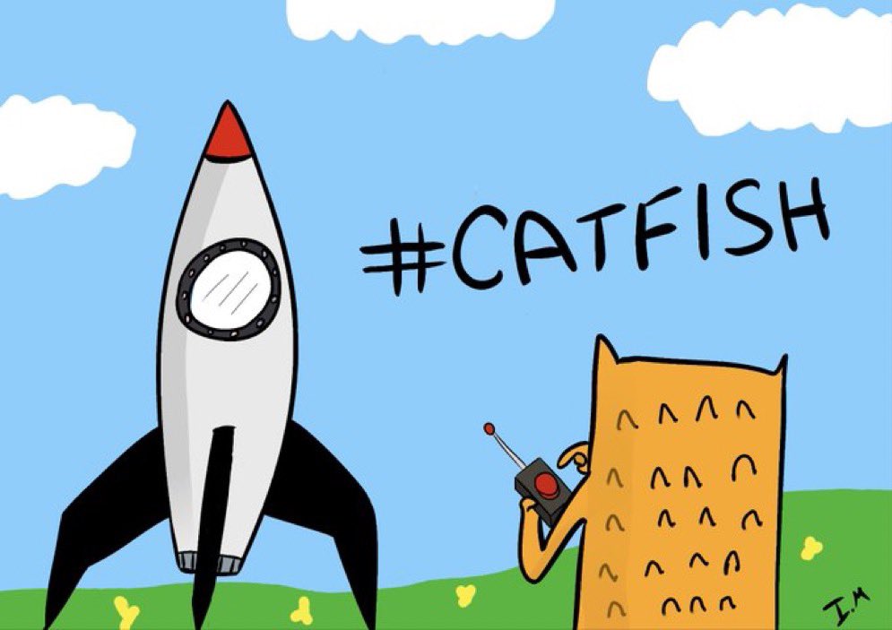 Pusha__NFT's tweet photo. @DaveCrypto91 Can cats and dogs get along??? #CatFishOnSol #MYRO @catfishonsol https://t.co/sUxeIwlLr8