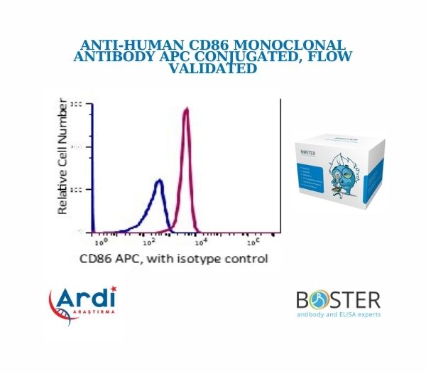 ⚡Anti-Human CD86 Monoclonal Antibody APC Conjugated, Flow Validated

💫SKU:FC00220-APC
💫Boyut: 100 test, 200 test
💫Reaktif Türler: Cynomolgus maymunu, İnsan, Babun, Rhesus maymunu
💫Konak: Fare
💫Uygulama: Flow Sitometrisi

#monoclonalantibody