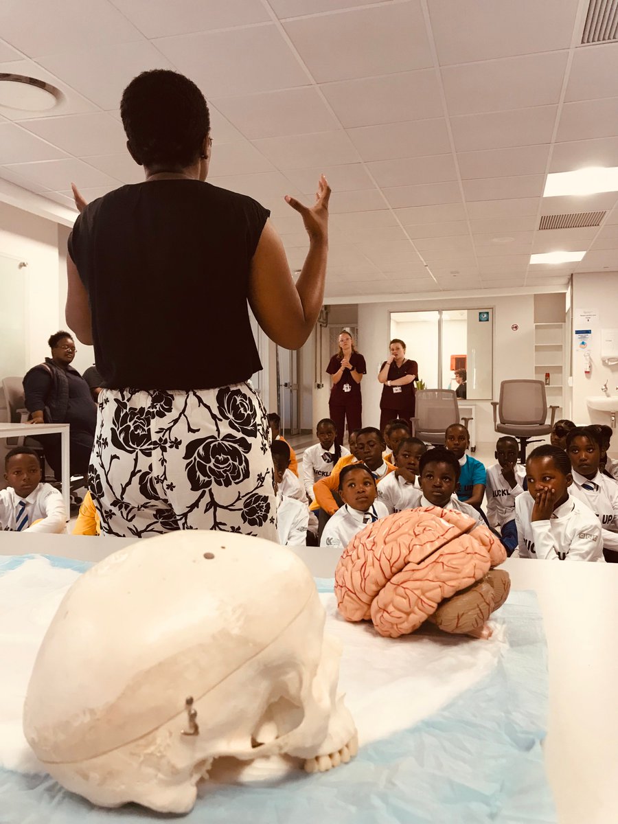 Happy Brain Awareness Week everybody! When else can grade 9 learners look at microscopic neurons, eat brain themed cupcakes and watch a dissembodied cockroach leg twitch to 'I like to move it move it' - we keep it pretty interesting here at the NI with our BAW events!