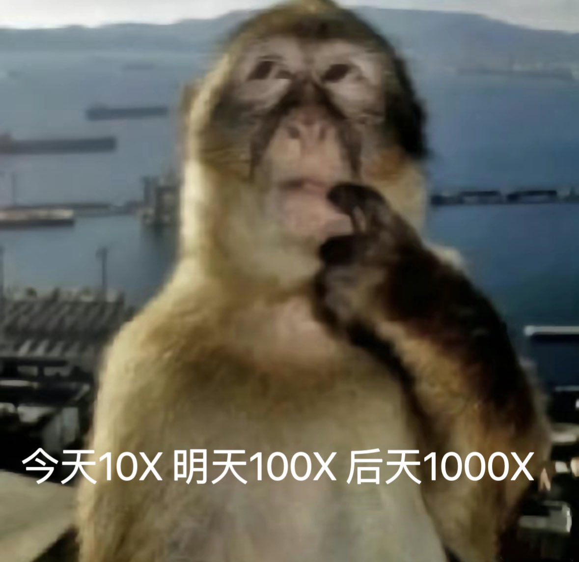 RRRRTMDT's tweet photo. @abyssofgambling 都买 然后闭眼睡觉 第二天等着 https://t.co/stdKeKWuAa