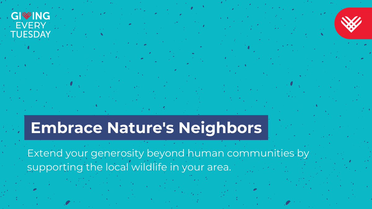 Extend your generosity beyond human communities by supporting the local wildlife in your area. Provide nourishment by setting up bird feeders or scattering seeds in green spaces. Consider creating shelters, like small birdhouses or insect hotels.