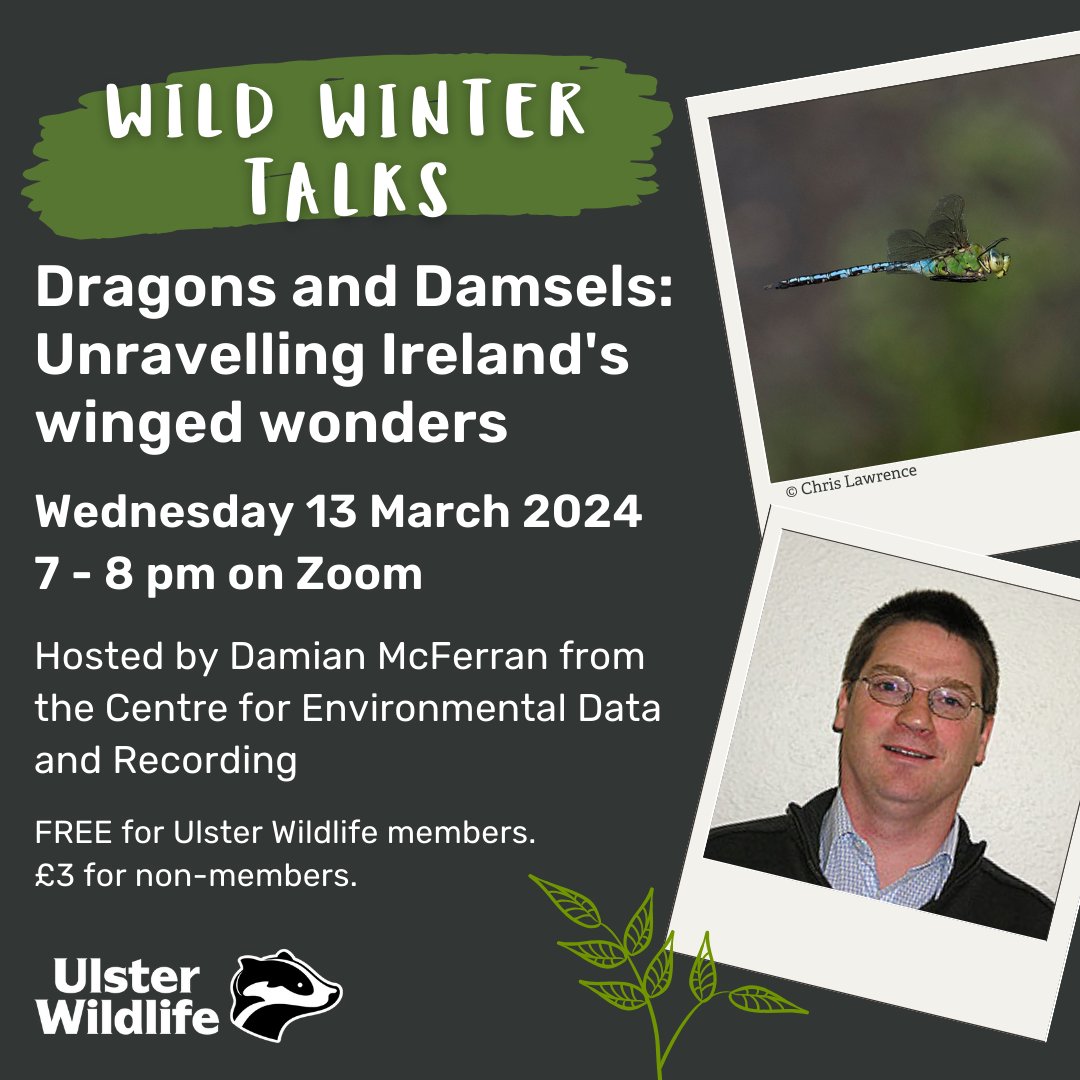 Join Damian McFerran from @cedarnmni to find out more about Ireland's incredible dragonflies and damselflies, and how you can get involved to help us better understand them. Book now 👉 ulsterwildlife.org/events Not a member? Join today 👉 ulsterwildlife.org/join