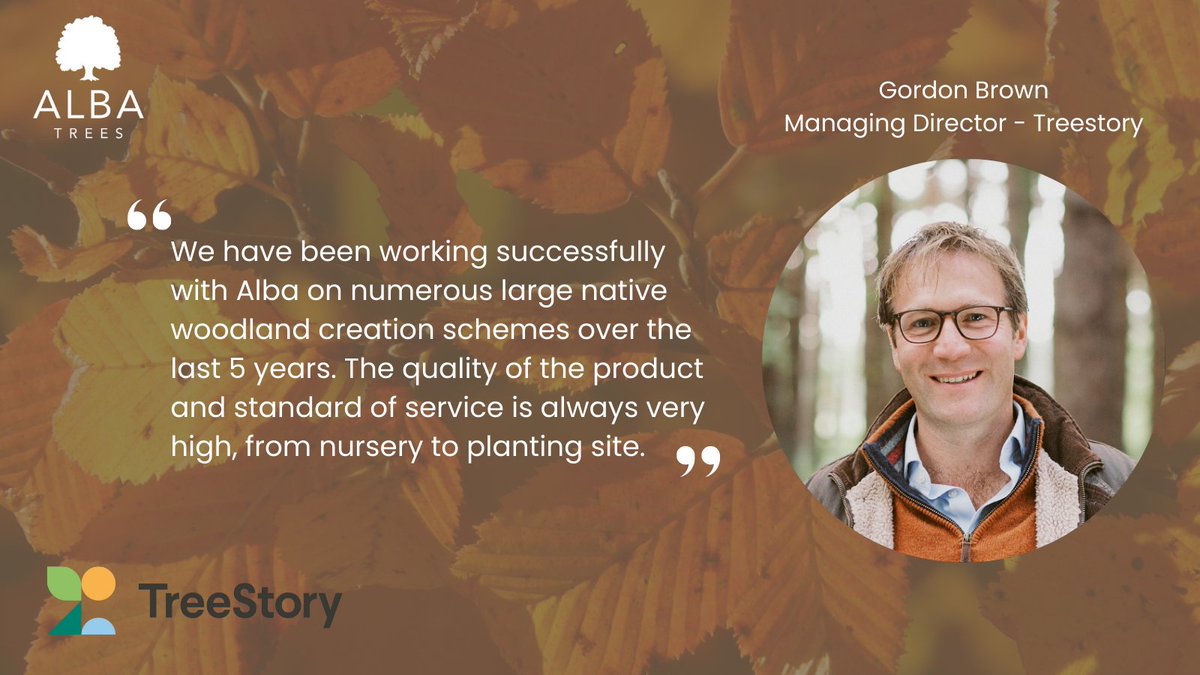 Alba Trees Nursery tweet media