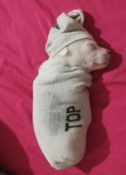 hermoso día para faltar y dormir así