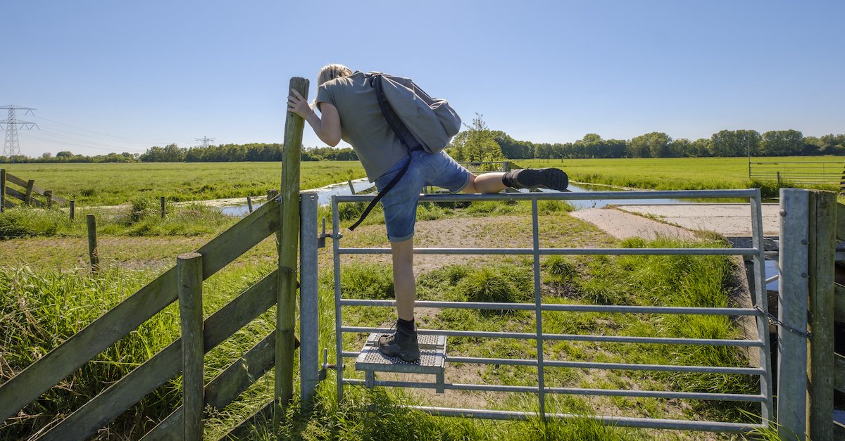 aBookPublicist's tweet image. The Case for Pursuing a Traditional Publishing Deal Without an Agent janefriedman.com/the-case-for-p… #GettingPublished #GuestPost @aBookPublicist