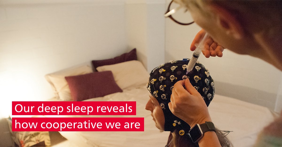 Based on the individual patterns of #brainwaves during #sleep, researchers at #unibern can determine how #cooperative and #prosocial a person is in everyday life. This is demonstrated by their study just published in the Journal of #Neuroscience: sohub.io/2cft.