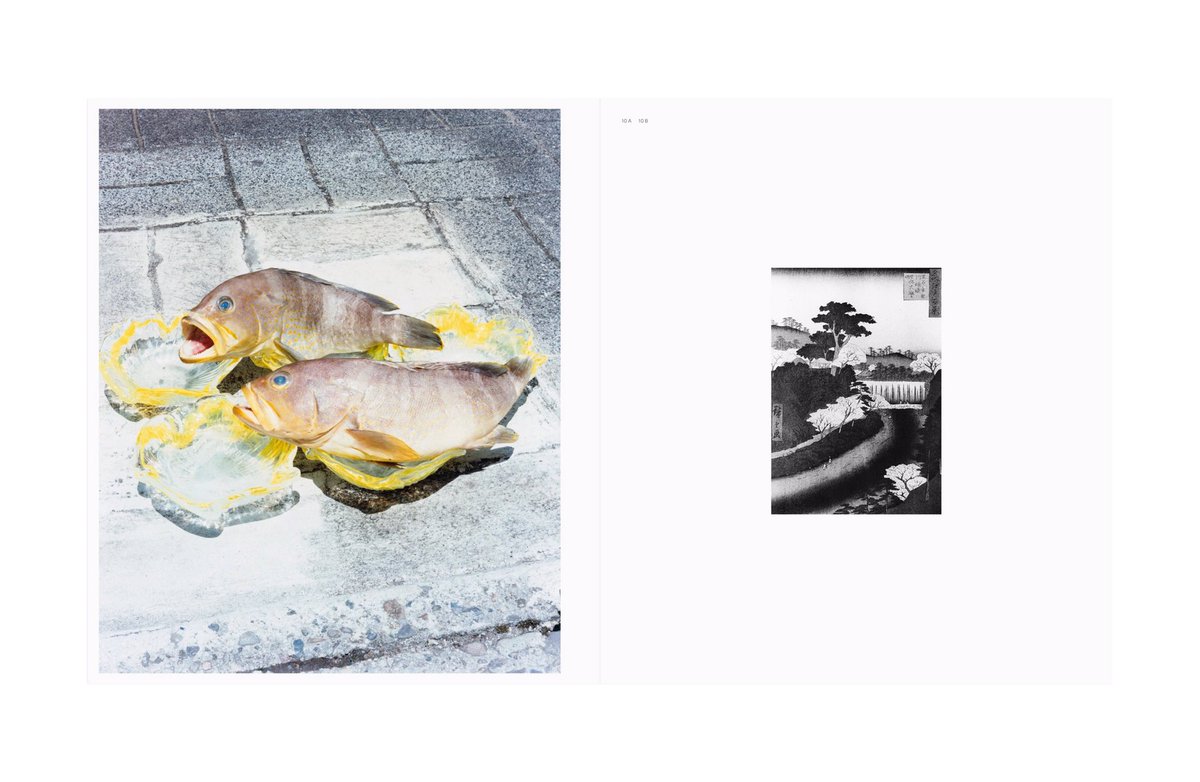 “Tokyo Fishgraphs” by Naohiro HARADA

《SIGNED / Winner of the 2022 Libraryman Award》

More Info↓
shashasha.co/en/book/tokyo-…