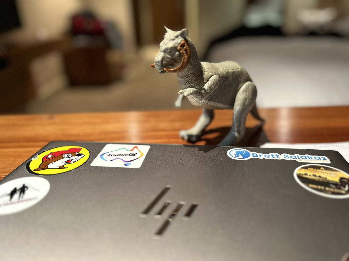 I accidentally brought a friend on a work trip