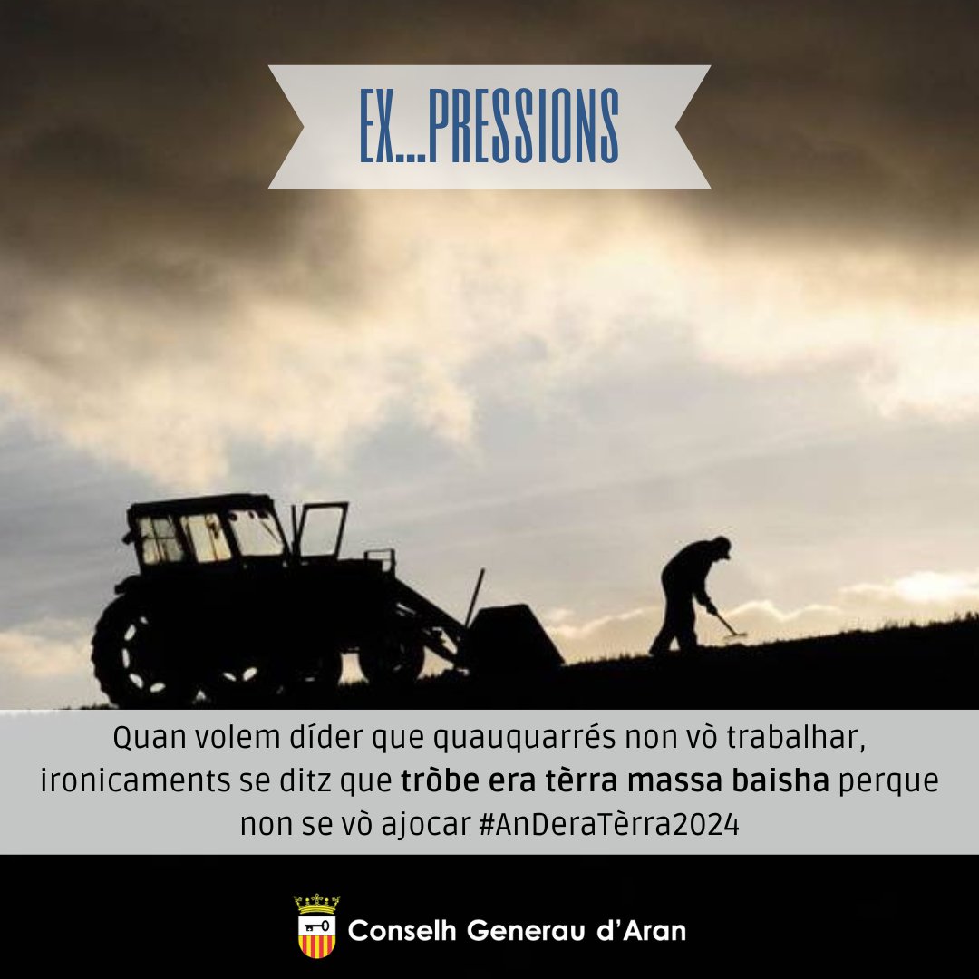 En Aranés tweet media