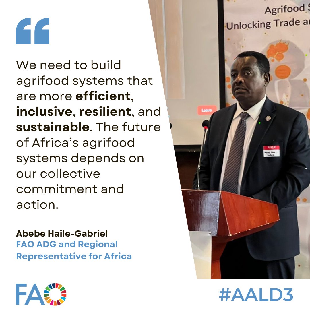 At today's 3rd African Agribusiness Leadership Dialogue, @FAOAfricaADG Abebe Haile-Gabriel says agrifood systems transformation in Africa relies on: collective commitment action with the private sector. #agribusiness #AALD3