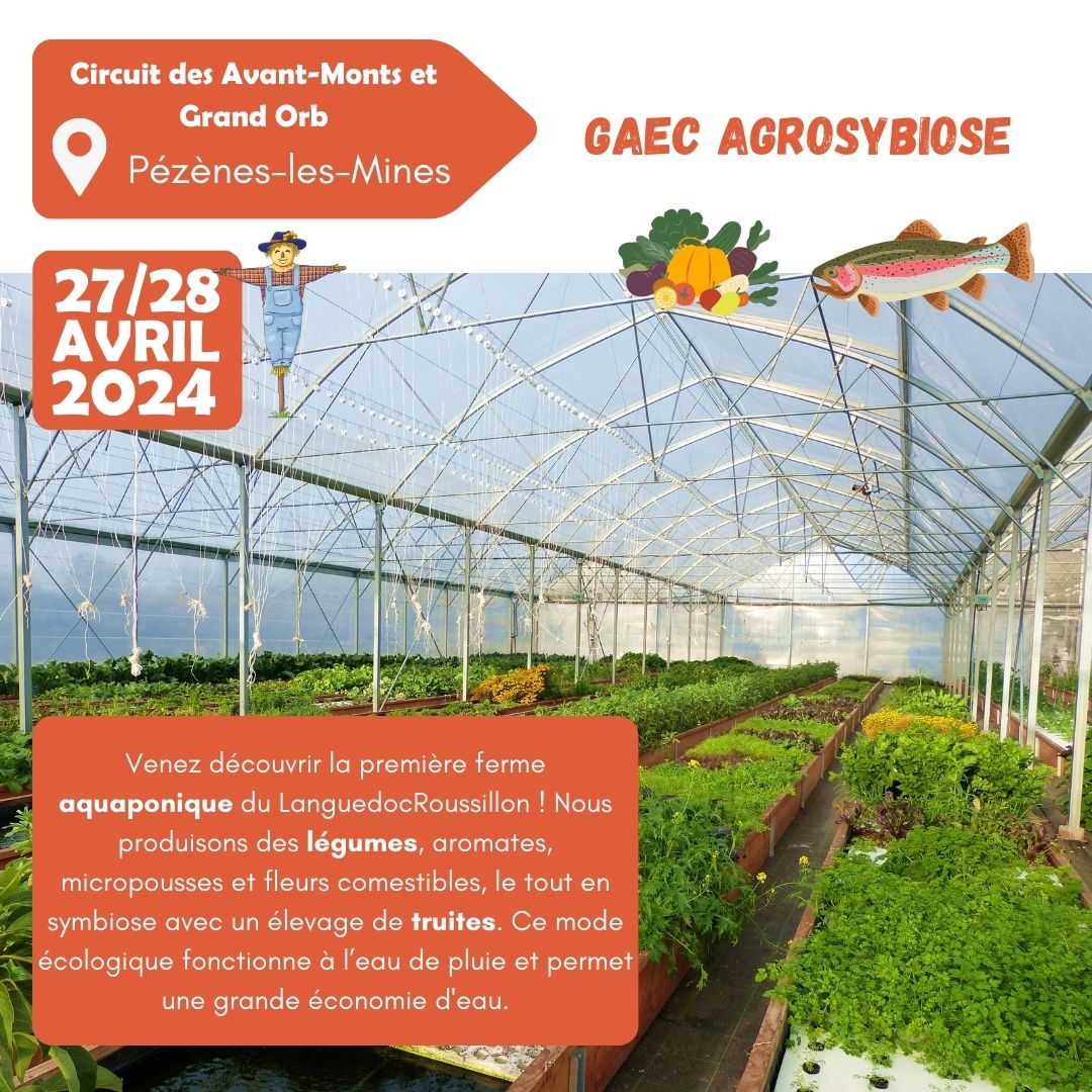 AgroSymbiose's tweet photo. 👩‍🌾🧑‍🌾Découvrez les fermes qui vous accueilleront les 𝟮𝟳 𝗲𝘁 𝟮𝟴 𝗮𝘃𝗿𝗶𝗹 sur le 𝗰𝗶𝗿𝗰𝘂𝗶𝘁 𝗔𝘃𝗮𝗻𝘁-𝗠𝗼𝗻𝘁𝘀 𝗲𝘁 𝗚𝗿𝗮𝗻𝗱 𝗢𝗿𝗯 pour l'évènement 𝑳'𝑯𝒆́𝒓𝒂𝒖𝒍𝒕 𝑫𝒆 𝑭𝒆𝒓𝒎𝒆 𝒆𝒏 𝑭𝒆𝒓𝒎𝒆 !  #portesouvertes #DFF2024  #avantmonts #grandorb #Hérault https://t.co/TcunQwgI4f