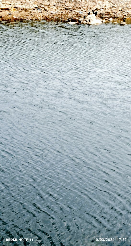 ToTo999999b's tweet image. 