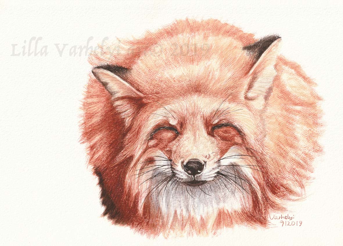 #Tuschebilder zu verkaufen.
 Wer möchte einen 🦊im Wohnzimmer haben? #inkpaintings  For Sale
#fox #wildlifeart #kleineKunstklasse #artforsale #wildlifedrawing #foxdrawing #zeichnen #fuchsliebe #foxlove #originaldrawing #kunstkaufen #drawing #zeichnung #wildtierzeichnung #foxart