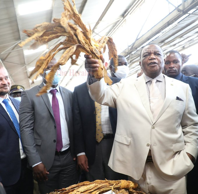 vp tobacco Tobacco marketing season to be officially opened by VP Dr Constantino  Chiwenga tommorrow morning. Farmers have started delivering tobacco to  auction floors ahead of the opening tomorrow. Deliveries of the contract  crop