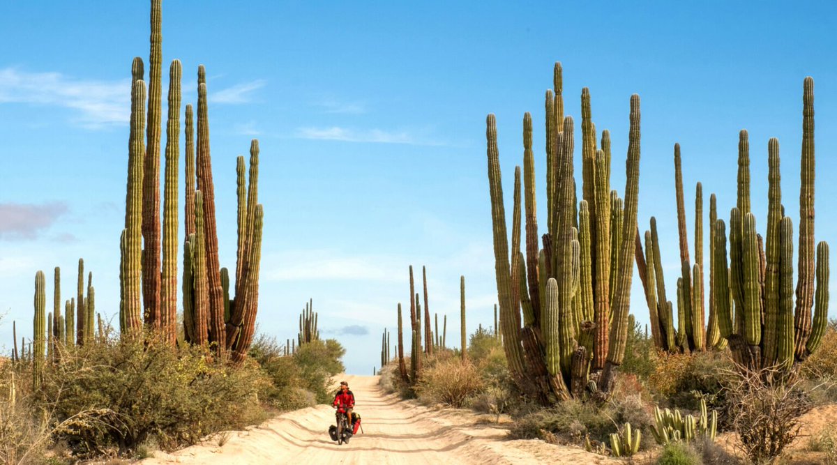 Une idée sortie pour ce mardi nuageux : le film "Sur les voix des Amériques" au CGR de Niort à 14h30. Une aventure de 45 000 km sans moteur (en grande partie à vélo) sur le continent américain. cgrcinemas.fr/films-a-l-affi… 

Bande annonce: youtube.com/watch?v=cg6nsP…