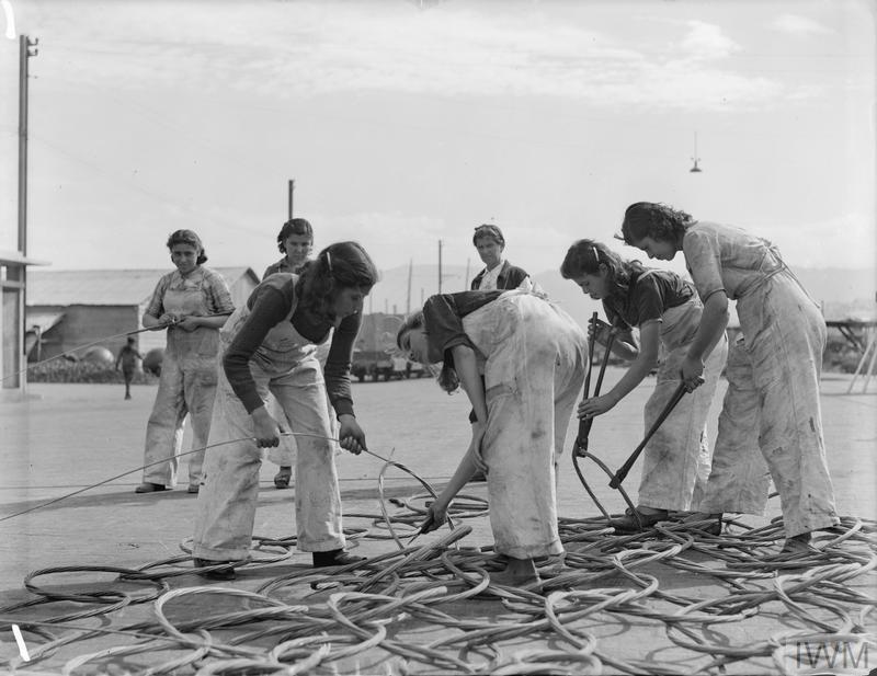 WOMEN & WAR: a conference co-organised with @UniofOxford. The fourth panel on 22 March is 'Experiences of Women in War' and will feature @janeohlmeyer, Meryem Kalayci and @LucyNoakes1. Registration is FULL, but there is a waitlist available: asc.ox.ac.uk/event/women-war