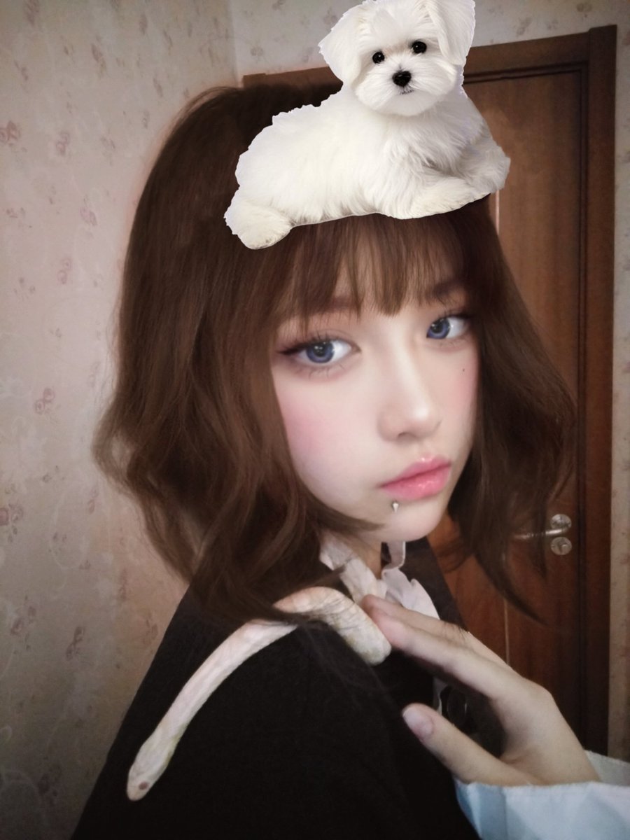 xiaolingya0's tweet photo. ψ(｀∇´)ψ https://t.co/MfnBJdCyuu