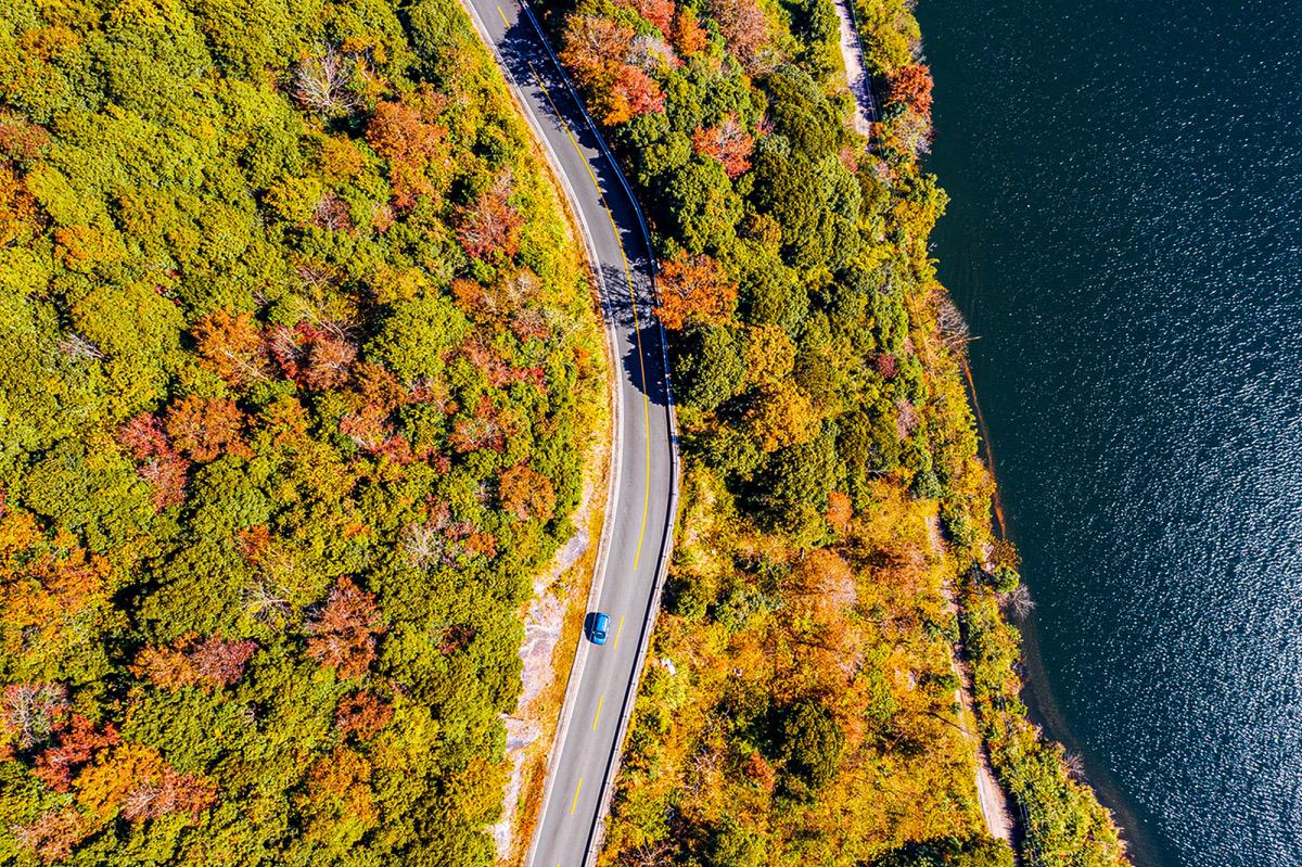 InsightNingbo's tweet image. Happy 46th National #TreePlantingDay! 🌿🌲 Take a moment to appreciate the lush greenery of #Ningbo&apos;s #forests and their vital role in our environment. Let&apos;s continue to nurture and protect these precious natural havens! 🌳🌟 #SpringinNingbo @GreenChina2030