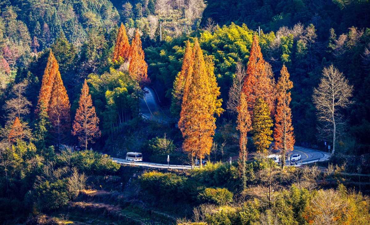 InsightNingbo's tweet image. Happy 46th National #TreePlantingDay! 🌿🌲 Take a moment to appreciate the lush greenery of #Ningbo&apos;s #forests and their vital role in our environment. Let&apos;s continue to nurture and protect these precious natural havens! 🌳🌟 #SpringinNingbo @GreenChina2030