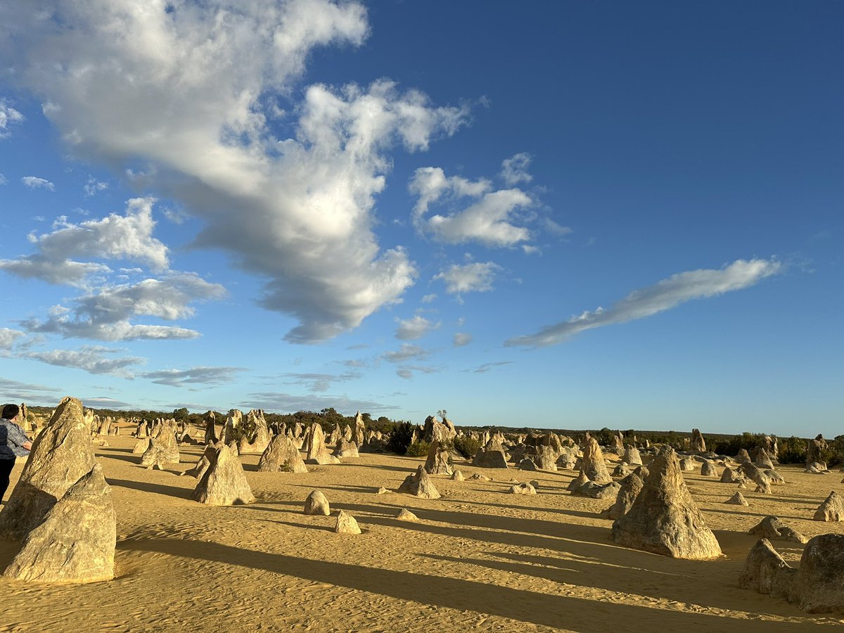 ayu511justin's tweet image. #Pinnacles
#Australia