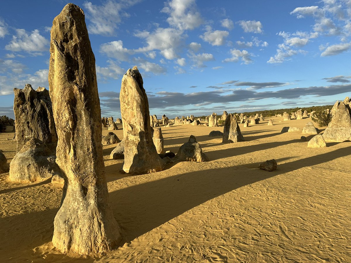 ayu511justin's tweet image. #Pinnacles
#Australia