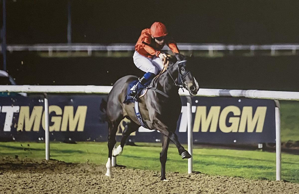 🏆🏆 I T’S A D O U B L E 🏆🏆 BASHOLO is all heart and put up another superb performance to win under a fantastic ride from @alex_jary BOSSY PARKER back to back wins for this lad who put in another really nice performance to win under the super cool @CallumSheppy