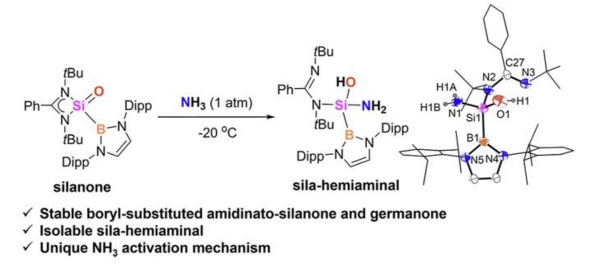 A new mechanism for N-H bond cleavage in ammonia… Yuwen’s work on ammonia 1,2 activation by silanone and germanone systems is out in @angew_chem onlinelibrary.wiley.com/doi/abs/10.100… @OxfordChemistry