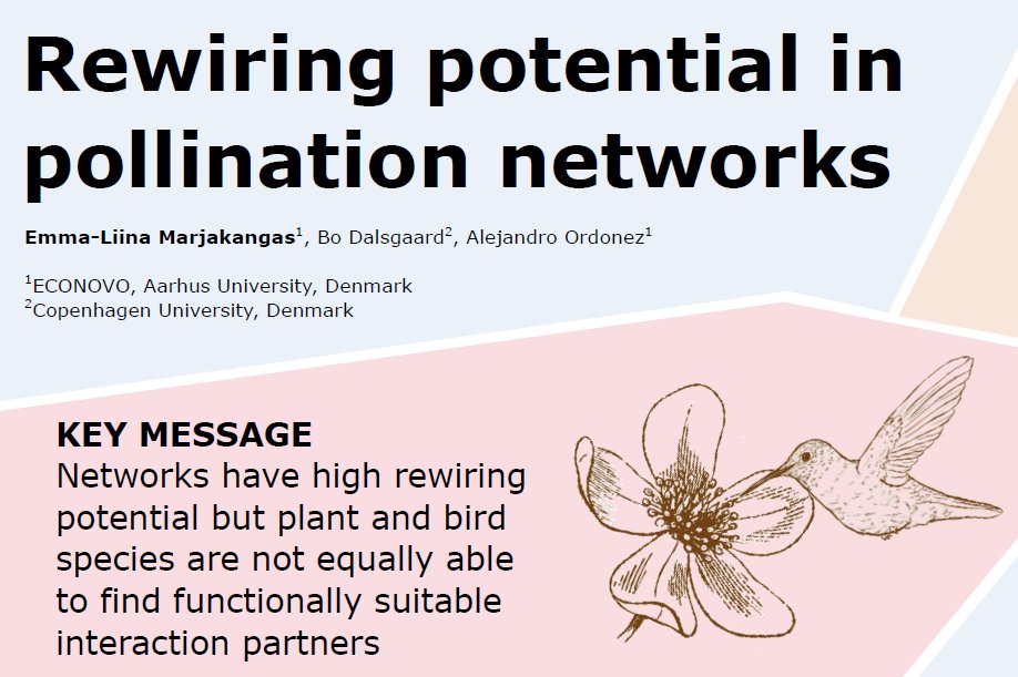 Looking forward to #NordicOikos2024 that starts today in Lund, always a great opportunity to meet old and new friends! Tomorrow I will present my poster, come and chat about networks, traits and machine learning 🌸🐦