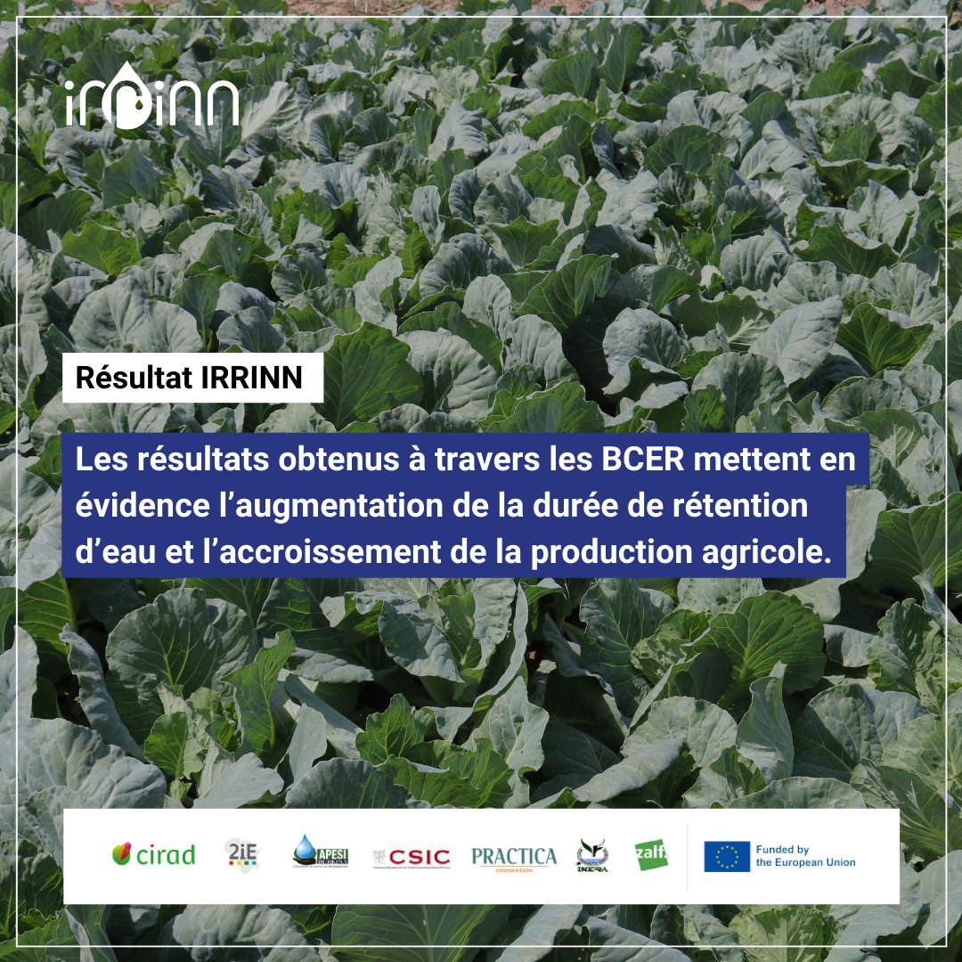 Projet IRRINN tweet media