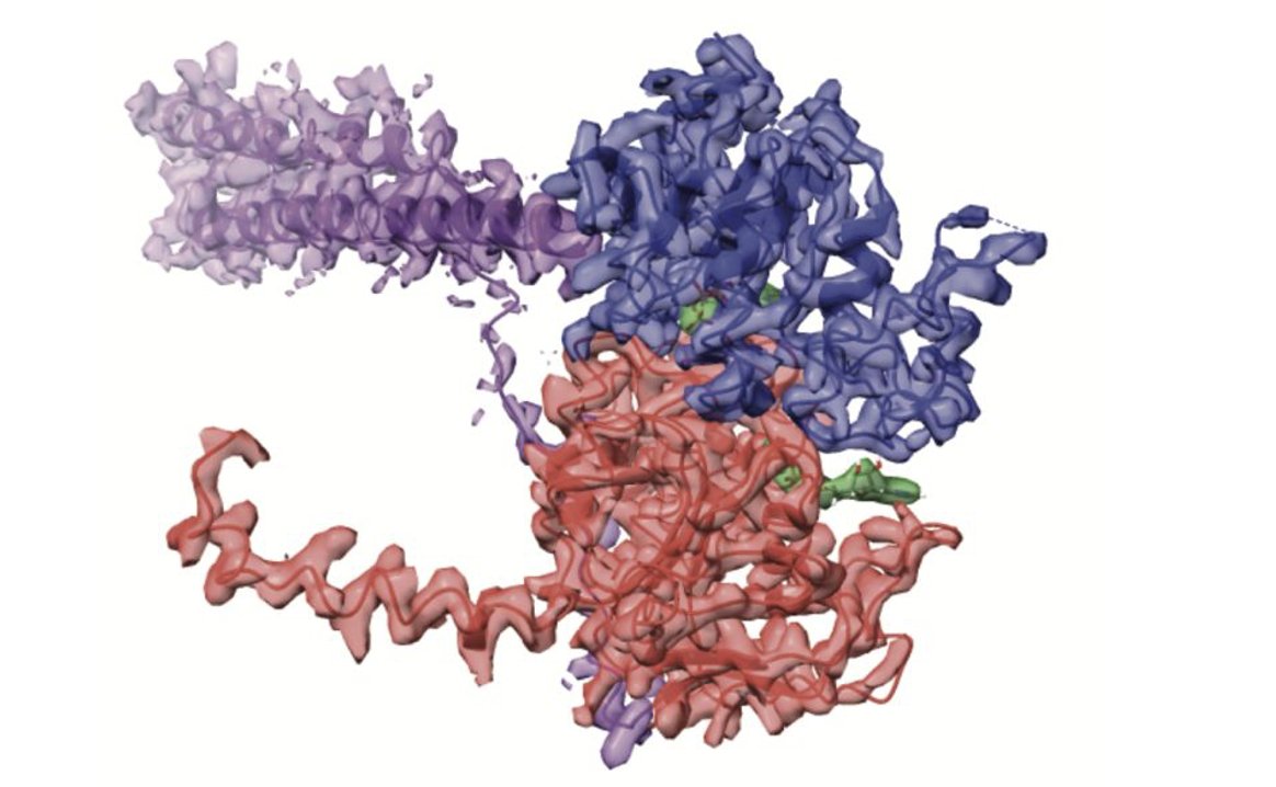 BIOLOGY/BMS External Seminar - Prof. Alex O'Neill @UniversityLeeds - How do antibiotics get into bacteria? Wednesday March 20th, 1-2 pm, BMS Seminar Room RM001. Hosted by @Hobbs_Lab_Micro