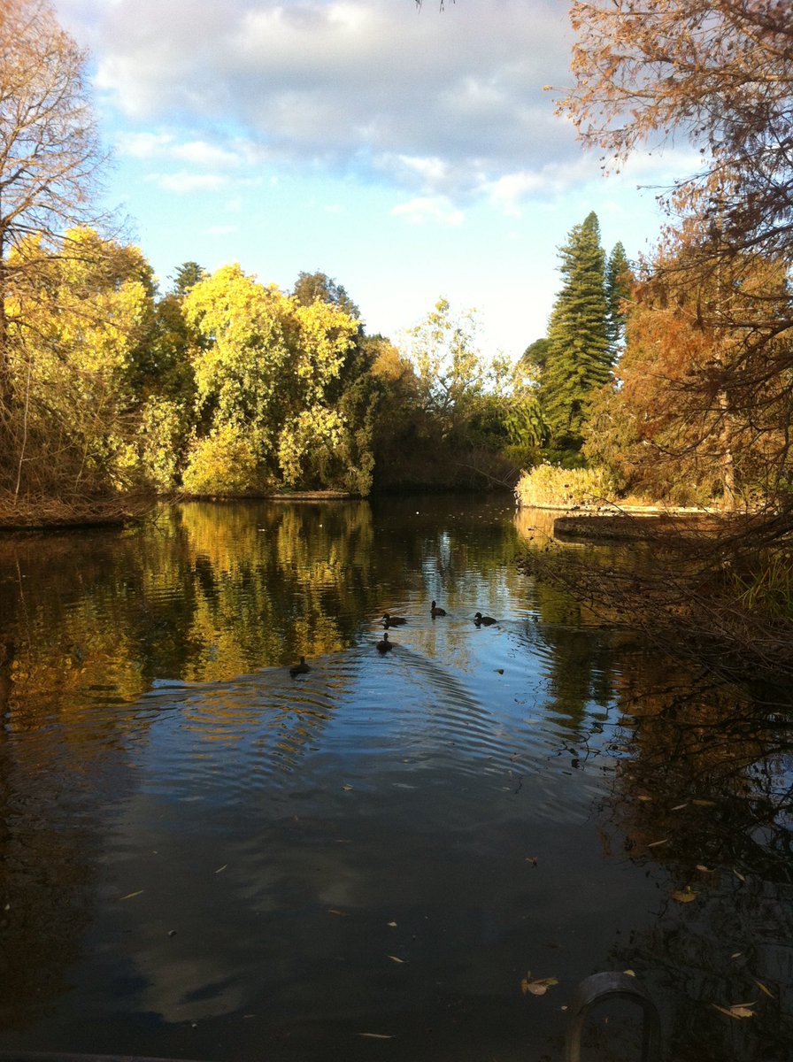 sheigagli's tweet photo. Botanic Garden in Adelaide, Australia #nature #landscape #relax #plants #garden #lake #Adelaide #Australia https://t.co/u1cLzFM7eU