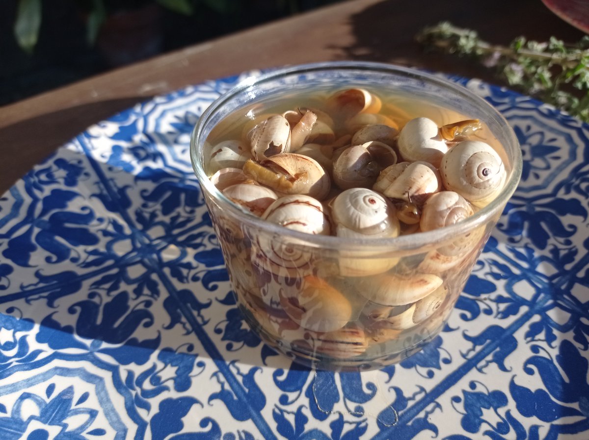 ¿Siempre os habéis sentido identificados con el primero que comió caracoles? ¿Que no? ¡No tenía que tener hambre el gachón! Rota os espera en mayo con una rica ruta 😀 Más información: portaldecadiz.com/provinciacadiz… Vía <a href="/portaldecadiz/">Portal de Cádiz</a> <a href="/TurismoRota/">Turismo Rota</a> Foto: Caracoles de <a href="/TurismoBornos/">Turismo de Bornos</a>