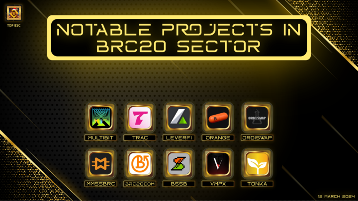 🔶 TOP BSC 🔶 tweet media