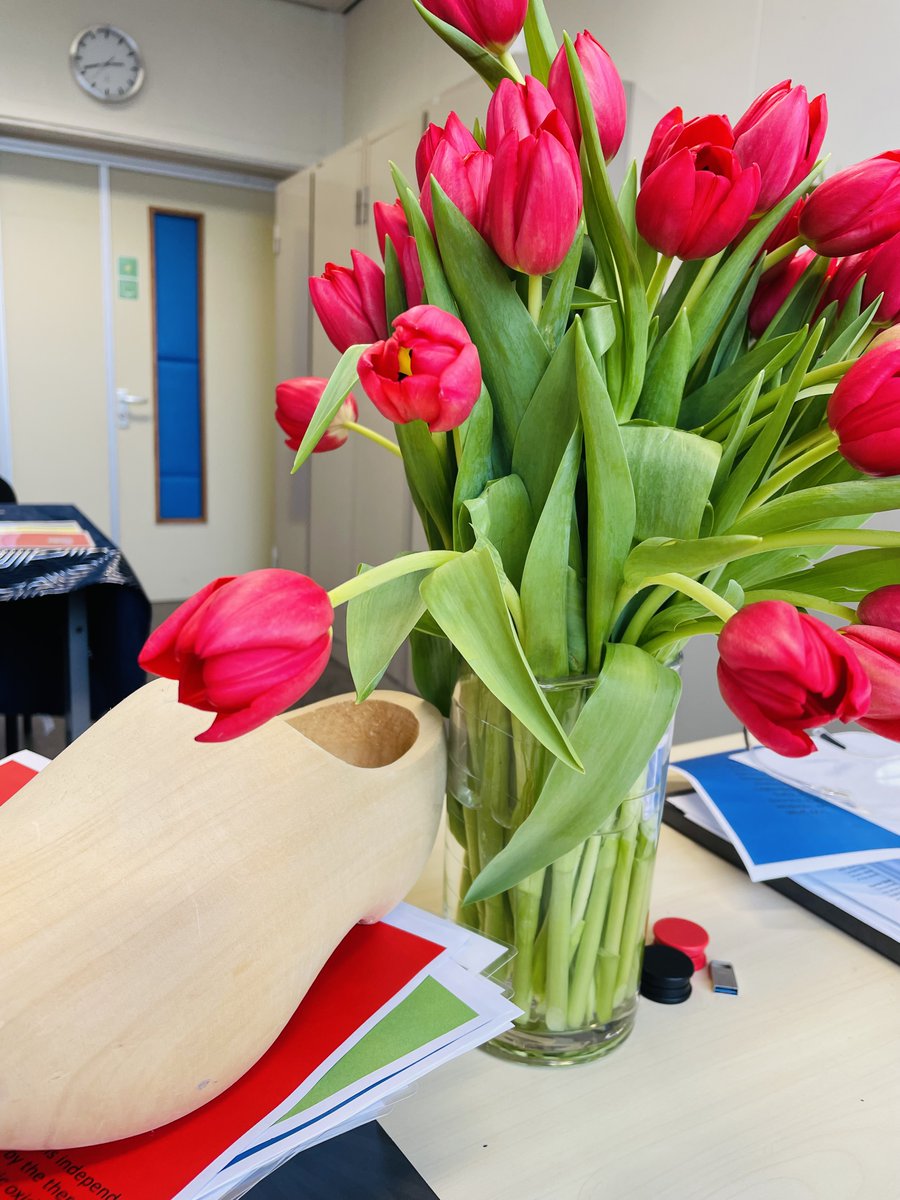 Some beautiful 🇳🇱 tulips in my office today. Not as a decoration but rather a starting point to a new chemistry laboratory practical project that we are preparing. #STEM . Molecules: SFR is going to be awesome this year!