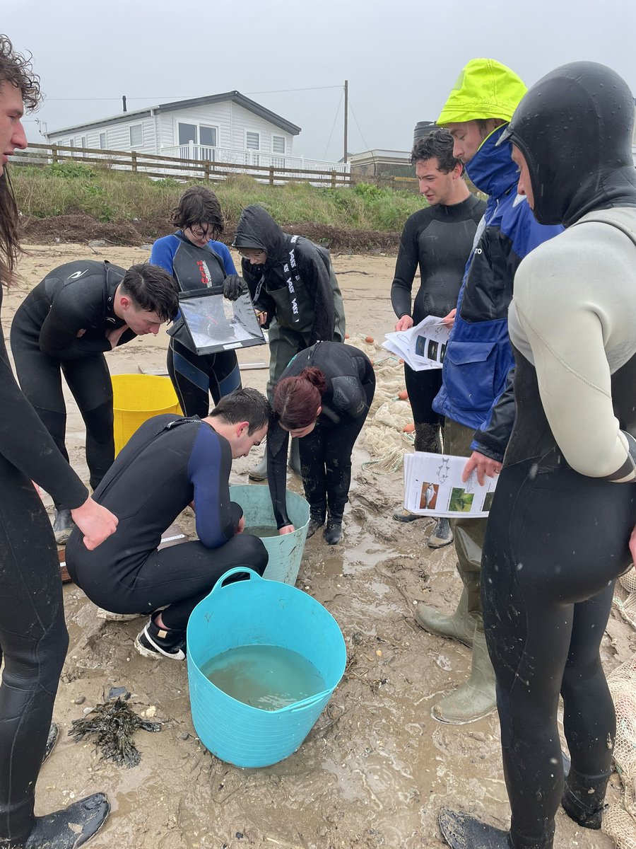 A very different morning of Seine netting with wind, rain and some very resilient students for our Professional Skills in Marine Biology course today! Now warm and dry inputting data with snacks 😊 @SwanseaUni